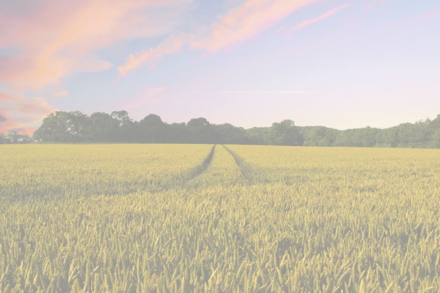 Ouverture de la Déclaration PAC 2025