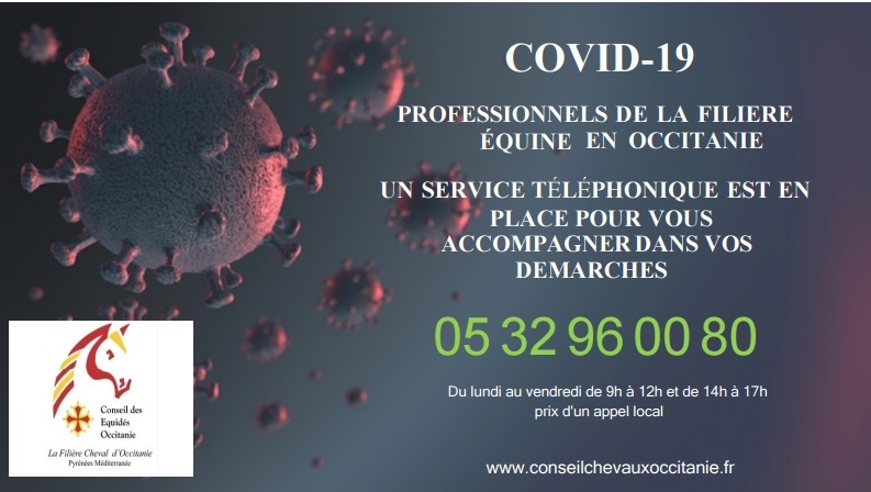 Service téléphonique d'assistance aux professionnels