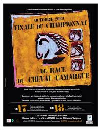 Finale du championnat de race du cheval Camargue