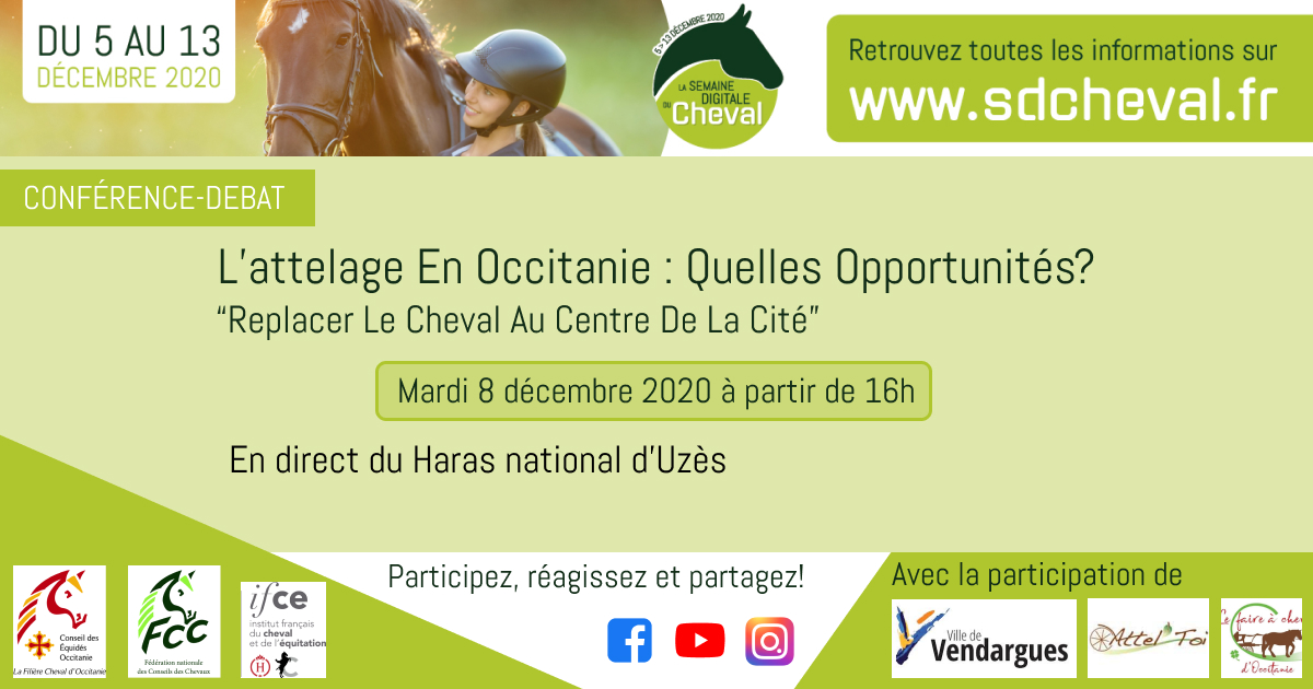 Débat conférence Semaine digitale du cheval