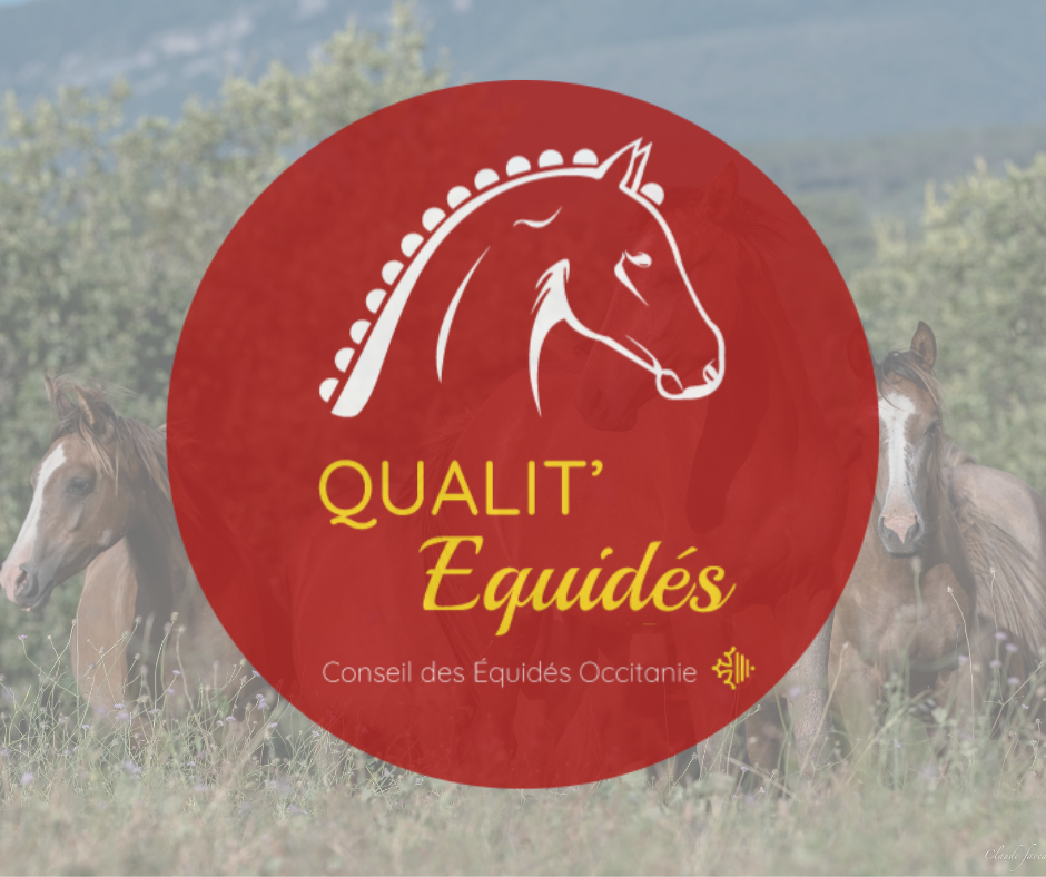 LANCEMENT QUALIT'EQUIDES