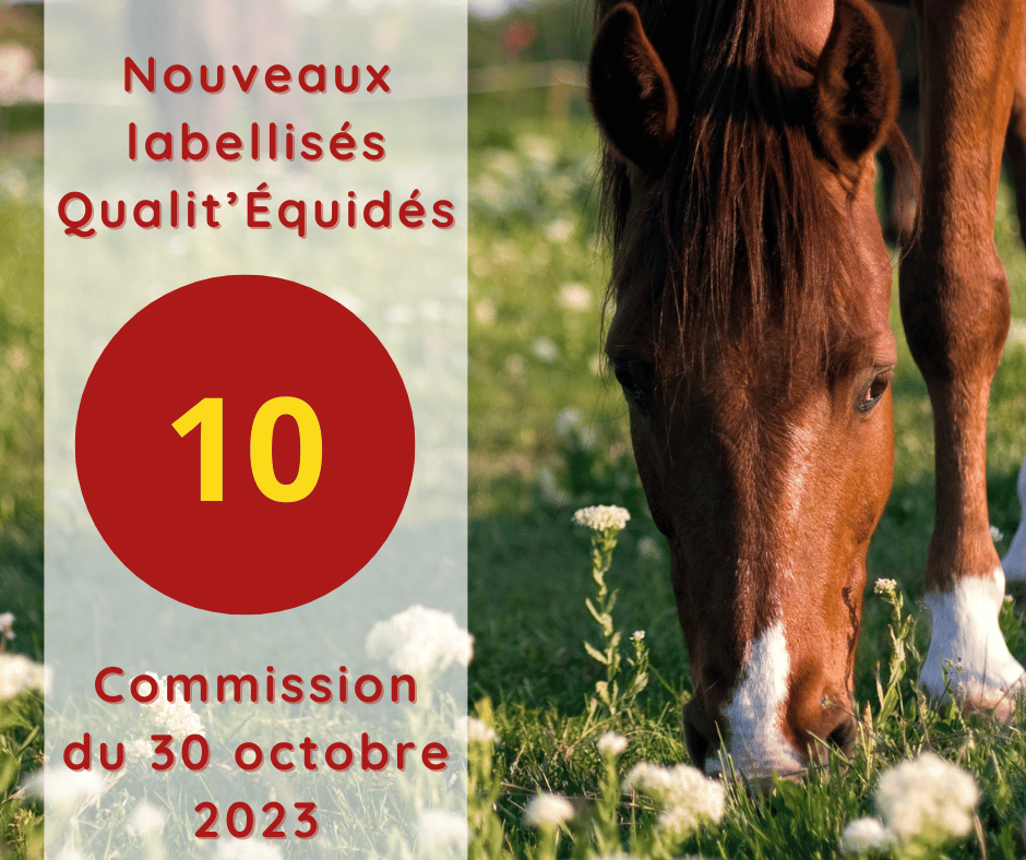 10 NOUVEAUX LABELLISES QUALIT'EQUIDES EN OCCITANIE