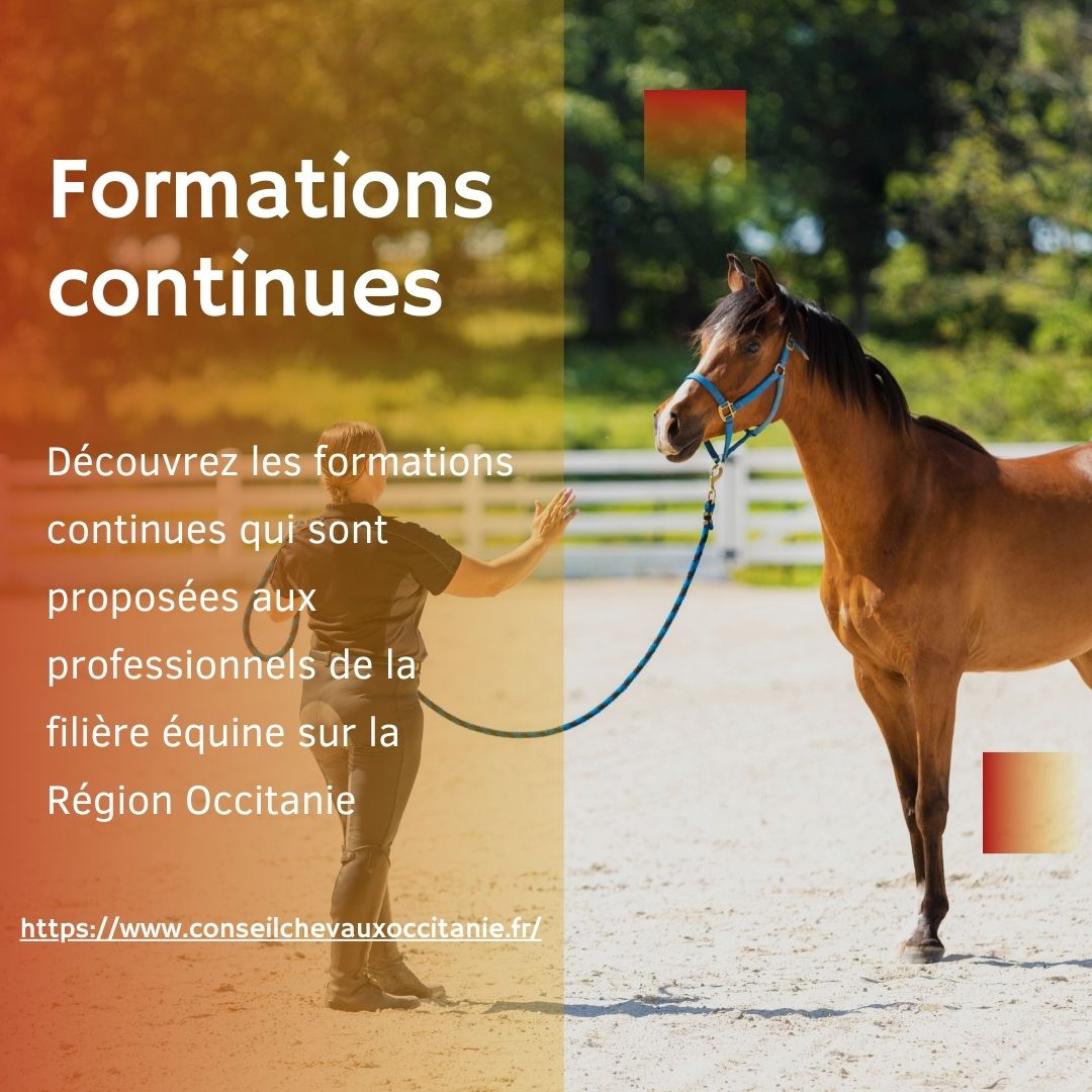 Formations continues