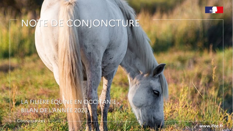 Note de conjoncture