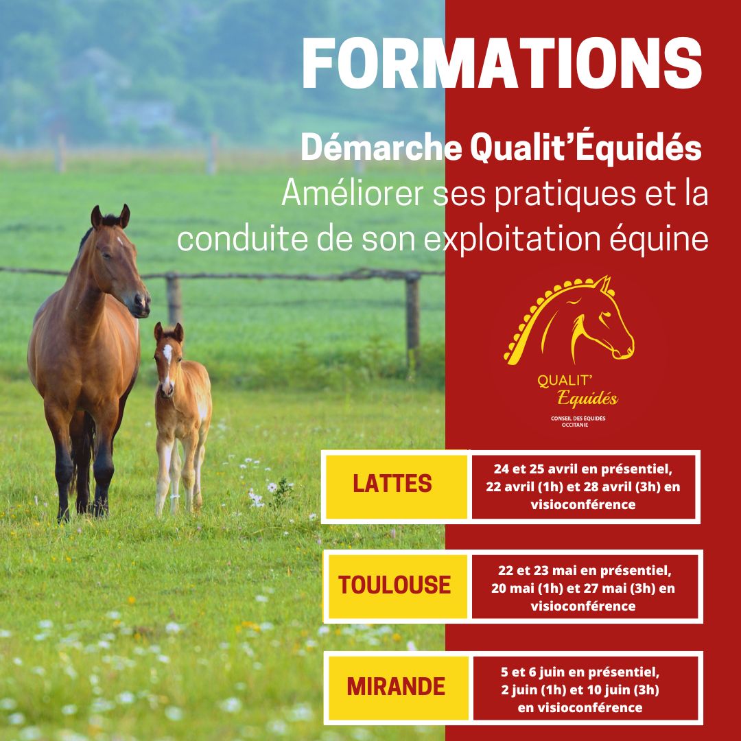 Améliorez vos pratiques et la conduite de votre exploitation équine