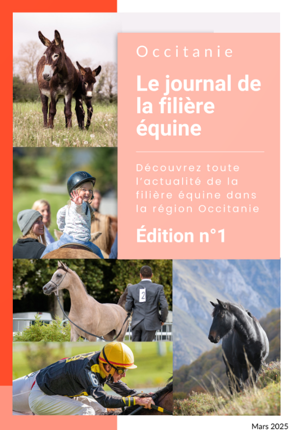 Le Journal de la filière équine en Occitanie