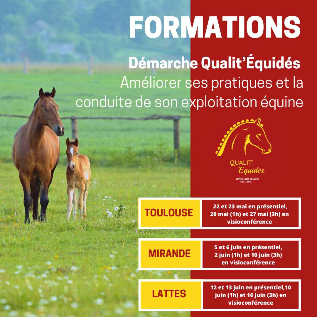 Qualit'équidés : Améliorez vos pratiques et la conduite de votre exploitation équine