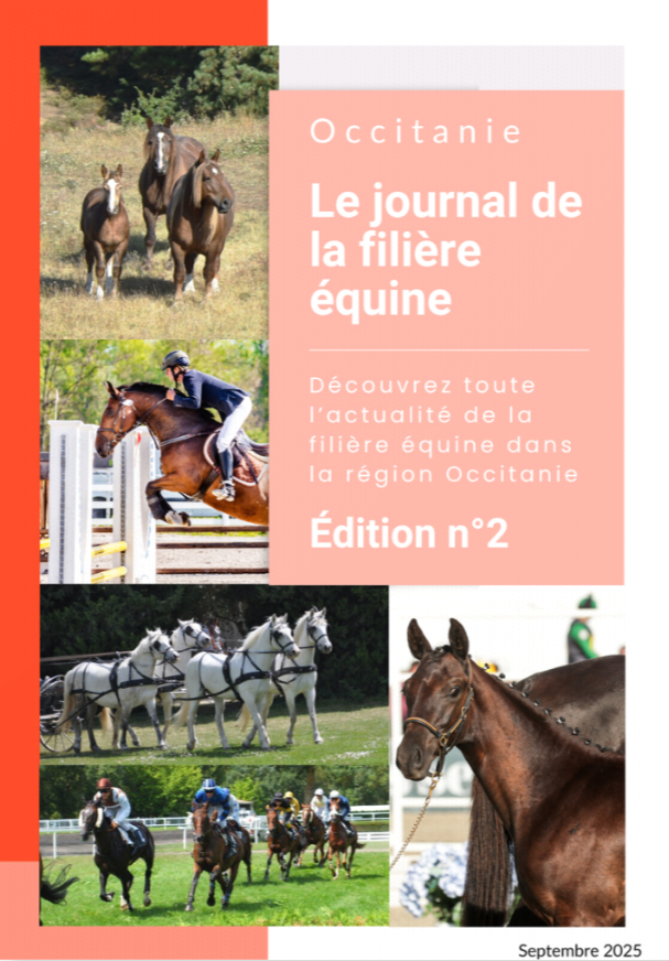 ÉDITION N°2 : LE JOURNAL DE LA FILIÈRE ÉQUINE EN OCCITANIE