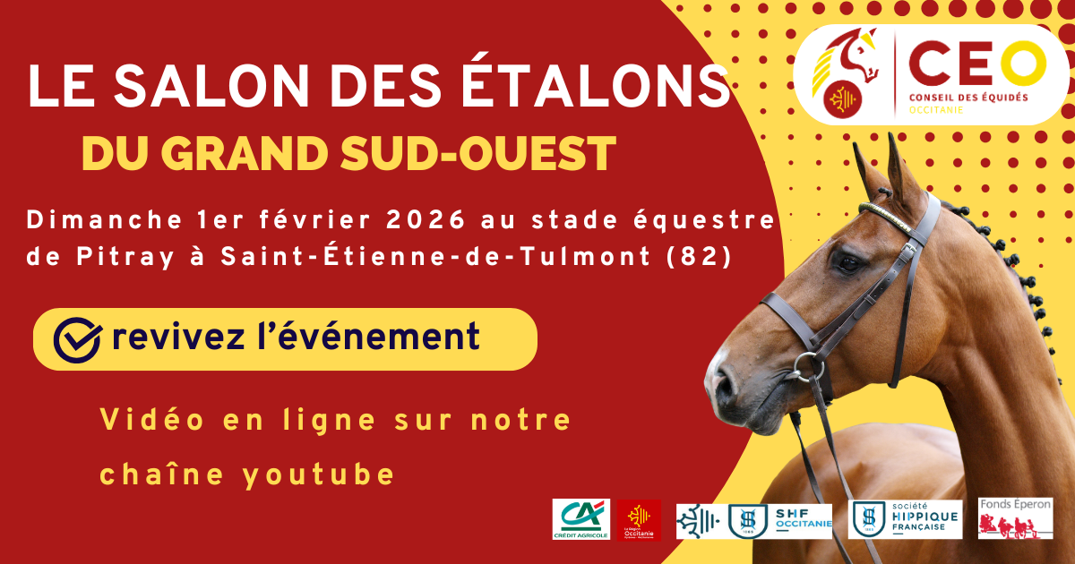 Le Salon des étalons du grand Sud-Ouest