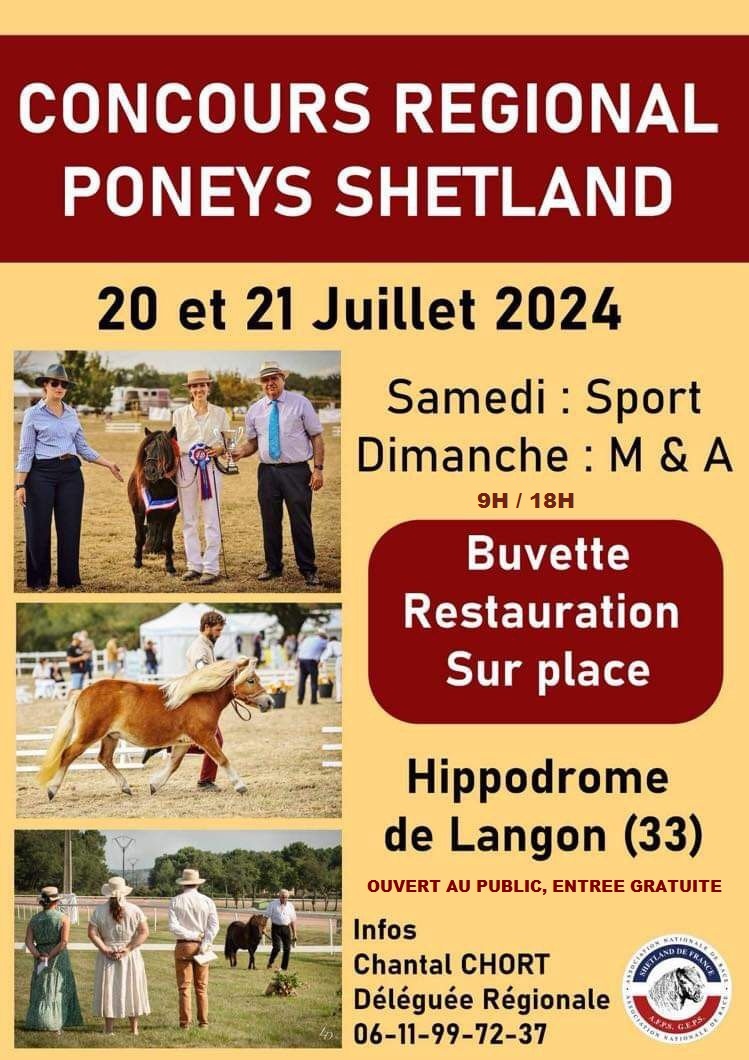 Concours Régional Poneys Shetland