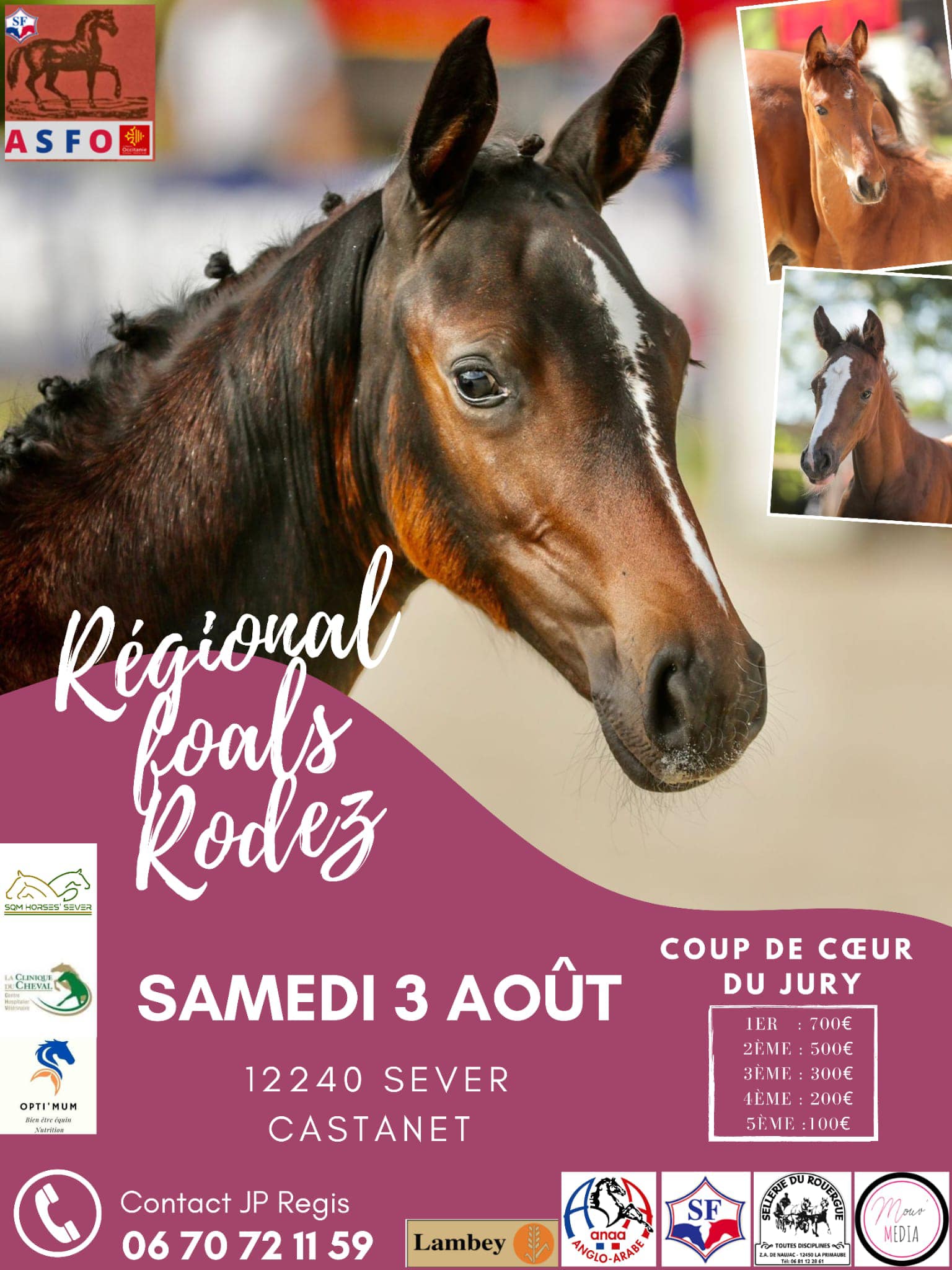 Concours Selle Français Occitanie