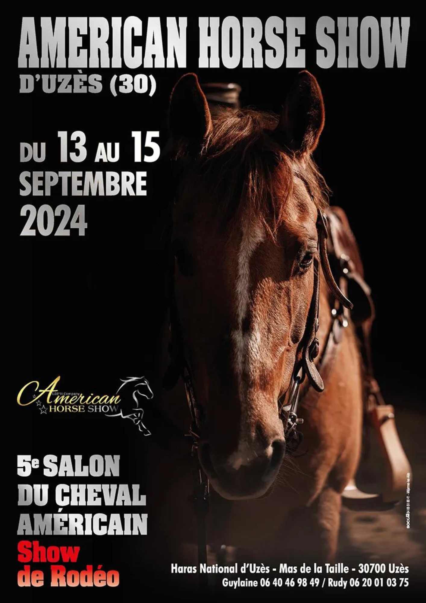 AMERICAIN HORSE SHOW