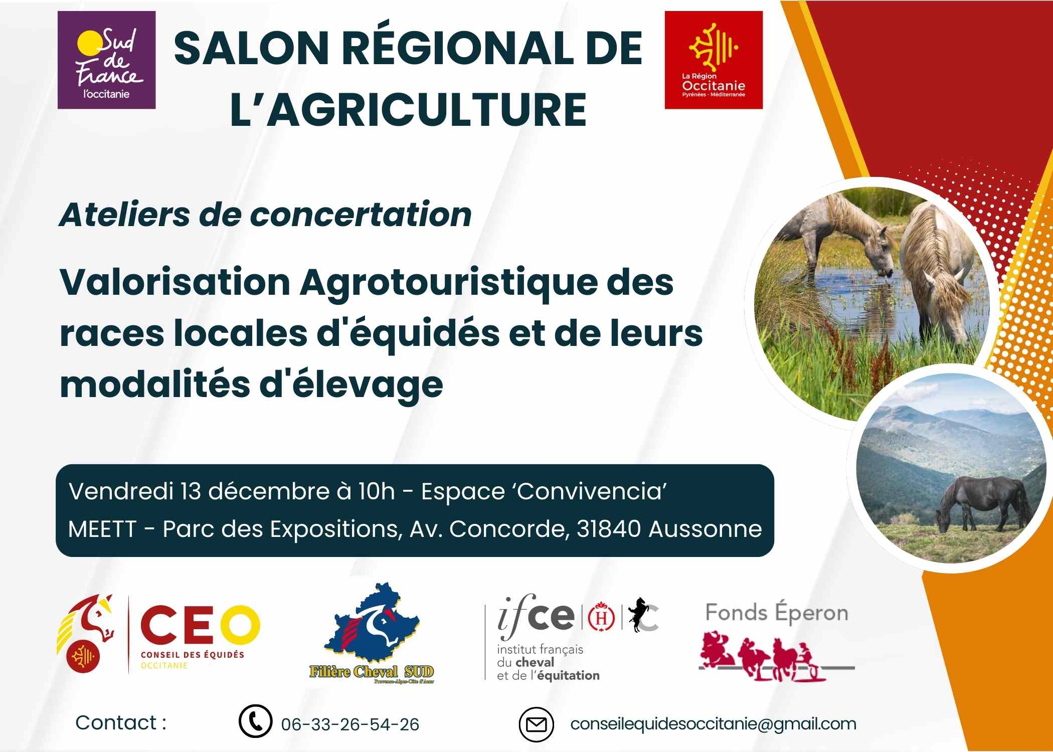 Valorisation agotouristique des races locales d'équidés et leur modalité d'élevage