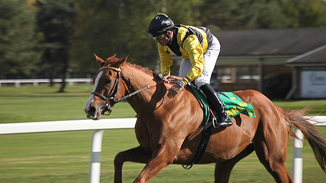 Courses de Tarbes, les grands prix des anglo-arabes